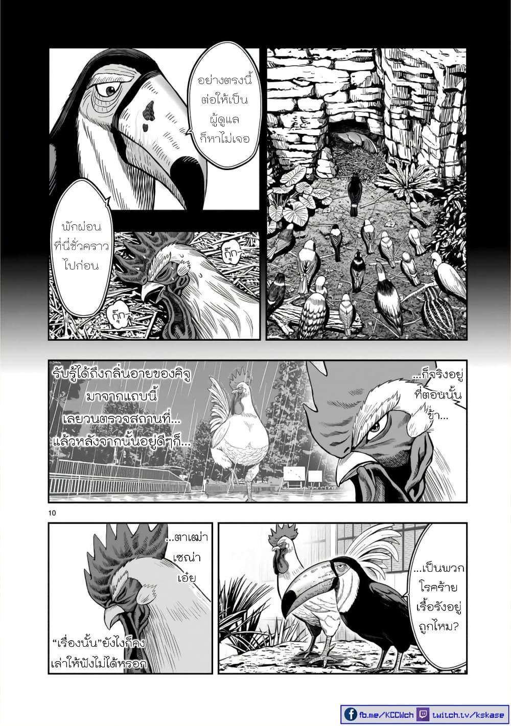 Manga-lc-com อ่านมังงะ อ่านการ์ตูน ออนไลน์ ฟรี Rooster Fighter ตอนที่ 1 2 3 4 5 6 7 8 9 10 11 12 13 14 ฟรี ไม่มีโฆษณา Manga-lc - อ่าน มังงะ อ่าน การ์ตูน ออนไลน์ อ่านมังงะ ฟรี