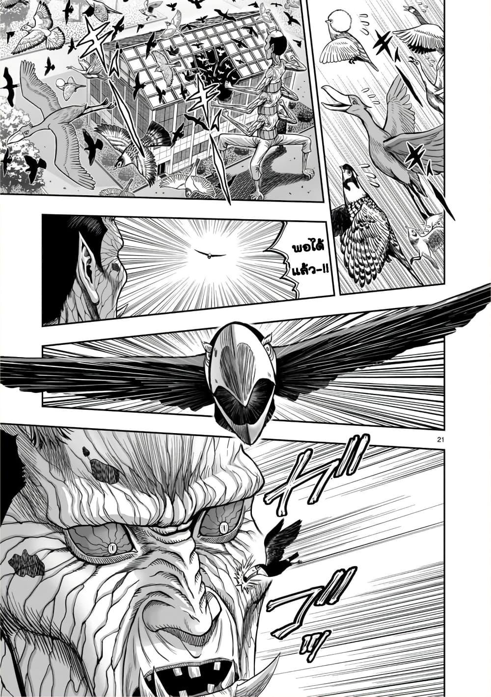 Manga-lc-com อ่านมังงะ อ่านการ์ตูน ออนไลน์ ฟรี Rooster Fighter ตอนที่ 1 2 3 4 5 6 7 8 9 10 11 12 13 14 ฟรี ไม่มีโฆษณา Manga-lc - อ่าน มังงะ อ่าน การ์ตูน ออนไลน์ อ่านมังงะ ฟรี