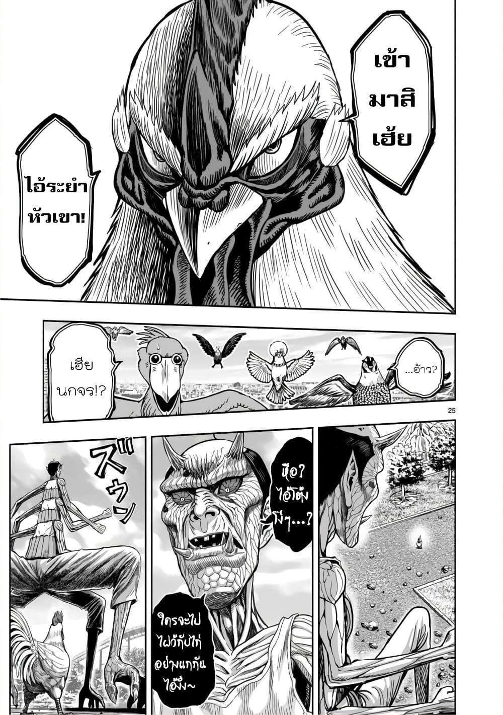 Manga-lc-com อ่านมังงะ อ่านการ์ตูน ออนไลน์ ฟรี Rooster Fighter ตอนที่ 1 2 3 4 5 6 7 8 9 10 11 12 13 14 ฟรี ไม่มีโฆษณา Manga-lc - อ่าน มังงะ อ่าน การ์ตูน ออนไลน์ อ่านมังงะ ฟรี