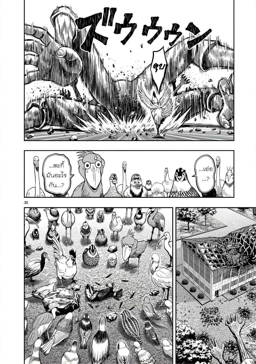 Manga-lc-com อ่านมังงะ อ่านการ์ตูน ออนไลน์ ฟรี Rooster Fighter ตอนที่ 1 2 3 4 5 6 7 8 9 10 11 12 13 14 ฟรี ไม่มีโฆษณา Manga-lc - อ่าน มังงะ อ่าน การ์ตูน ออนไลน์ อ่านมังงะ ฟรี