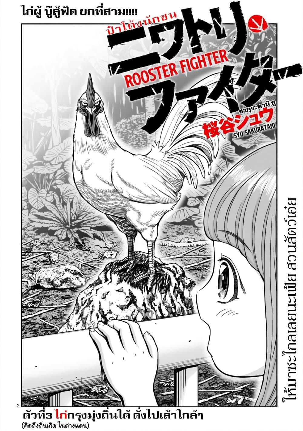 Manga-lc-com อ่านมังงะ อ่านการ์ตูน ออนไลน์ ฟรี Rooster Fighter ตอนที่ 1 2 3 4 5 6 7 8 9 10 11 12 13 14 ฟรี ไม่มีโฆษณา Manga-lc - อ่าน มังงะ อ่าน การ์ตูน ออนไลน์ อ่านมังงะ ฟรี