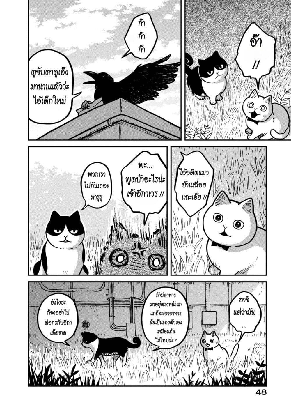 Manga-lc-com อ่านมังงะ อ่านการ์ตูน ออนไลน์ ฟรี Tsureneko – Maruru to Hachi ตอนที่ 1 2 3 4 5 6 7 8 9 10 11 12 13 14 ฟรี ไม่มีโฆษณา Manga-lc - อ่าน มังงะ อ่าน การ์ตูน ออนไลน์ อ่านมังงะ ฟรี