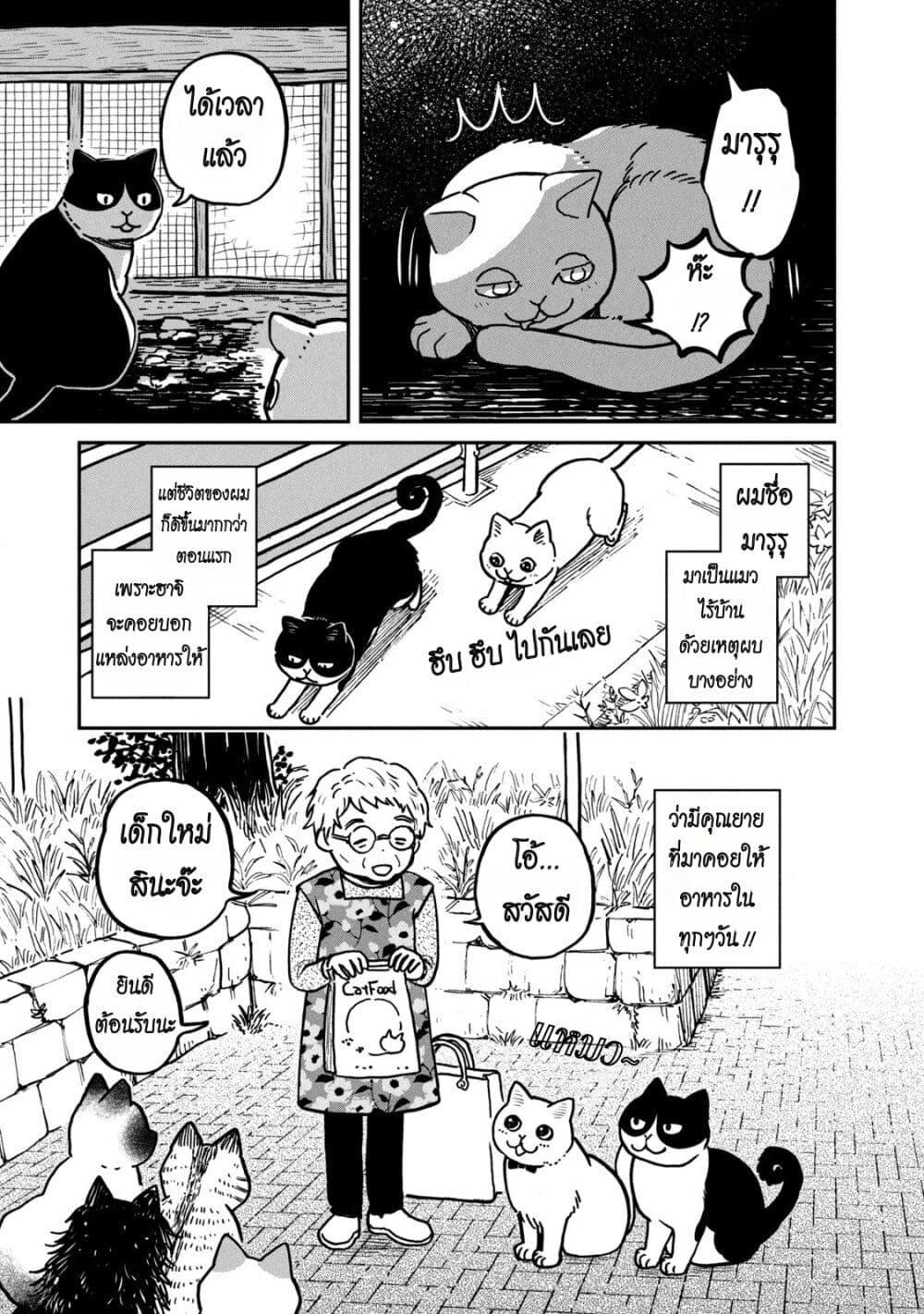Manga-lc-com อ่านมังงะ อ่านการ์ตูน ออนไลน์ ฟรี Tsureneko – Maruru to Hachi ตอนที่ 1 2 3 4 5 6 7 8 9 10 11 12 13 14 ฟรี ไม่มีโฆษณา Manga-lc - อ่าน มังงะ อ่าน การ์ตูน ออนไลน์ อ่านมังงะ ฟรี