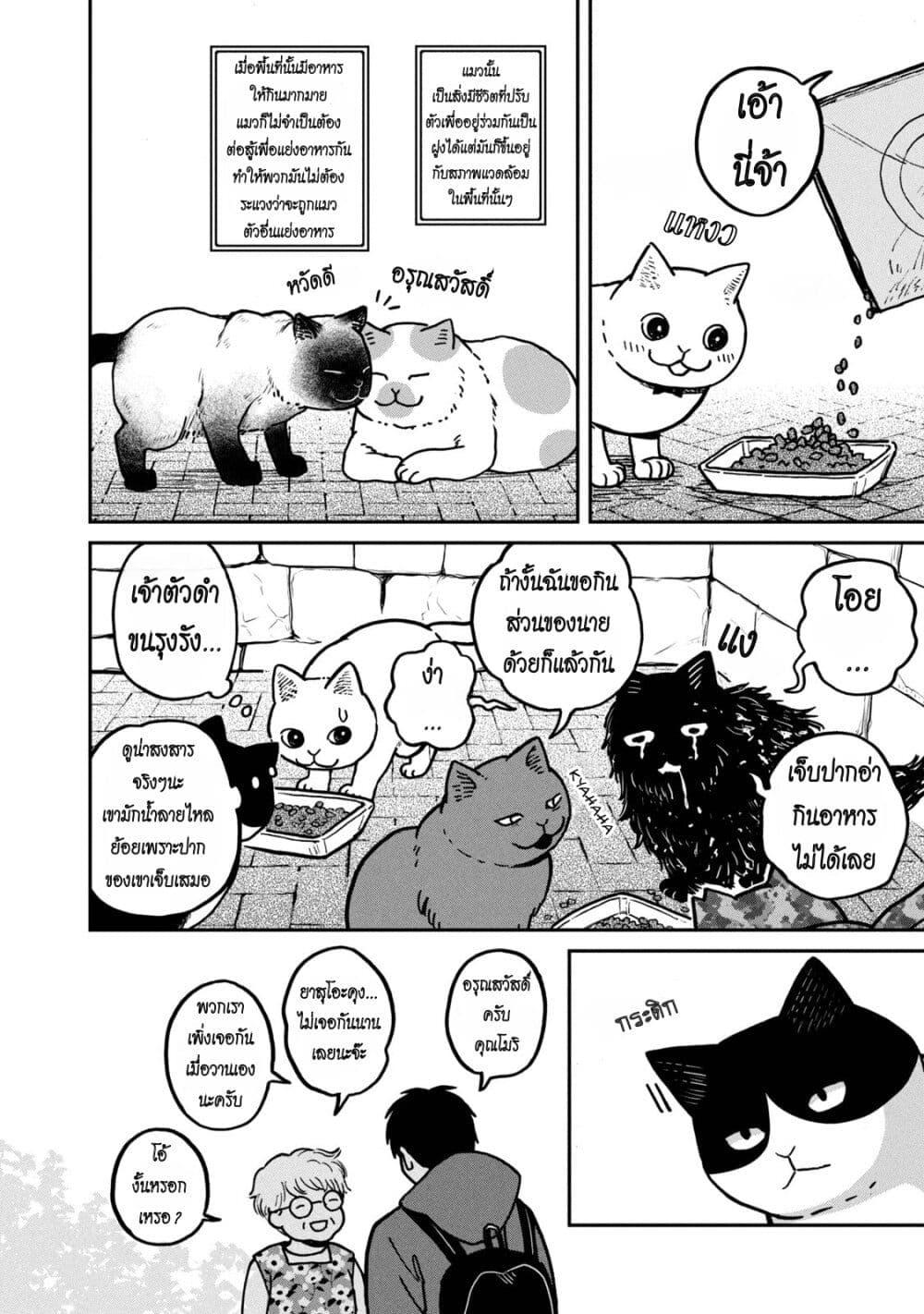 Manga-lc-com อ่านมังงะ อ่านการ์ตูน ออนไลน์ ฟรี Tsureneko – Maruru to Hachi ตอนที่ 1 2 3 4 5 6 7 8 9 10 11 12 13 14 ฟรี ไม่มีโฆษณา Manga-lc - อ่าน มังงะ อ่าน การ์ตูน ออนไลน์ อ่านมังงะ ฟรี