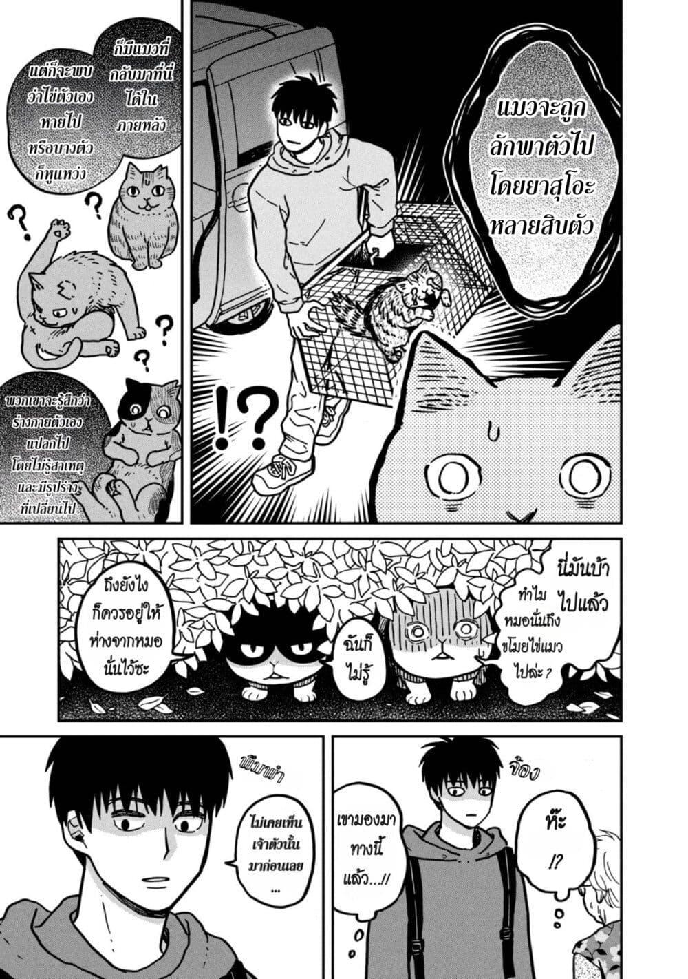 Manga-lc-com อ่านมังงะ อ่านการ์ตูน ออนไลน์ ฟรี Tsureneko – Maruru to Hachi ตอนที่ 1 2 3 4 5 6 7 8 9 10 11 12 13 14 ฟรี ไม่มีโฆษณา Manga-lc - อ่าน มังงะ อ่าน การ์ตูน ออนไลน์ อ่านมังงะ ฟรี