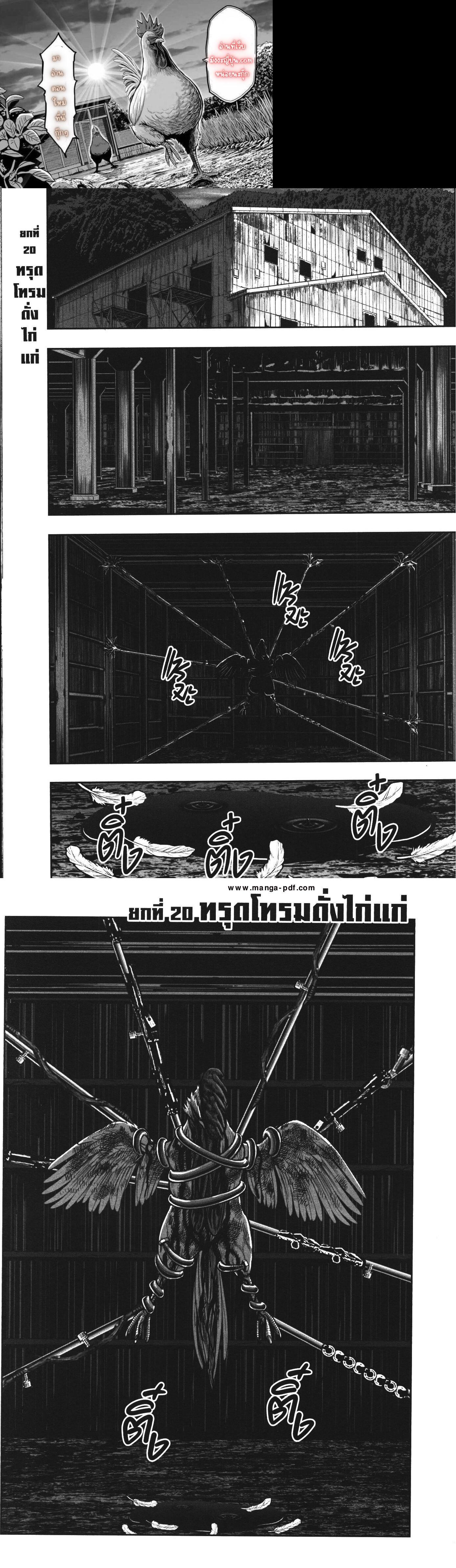 Manga-lc-com อ่านมังงะ อ่านการ์ตูน ออนไลน์ ฟรี Rooster Fighter ตอนที่ 1 2 3 4 5 6 7 8 9 10 11 12 13 14 ฟรี ไม่มีโฆษณา Manga-lc - อ่าน มังงะ อ่าน การ์ตูน ออนไลน์ อ่านมังงะ ฟรี