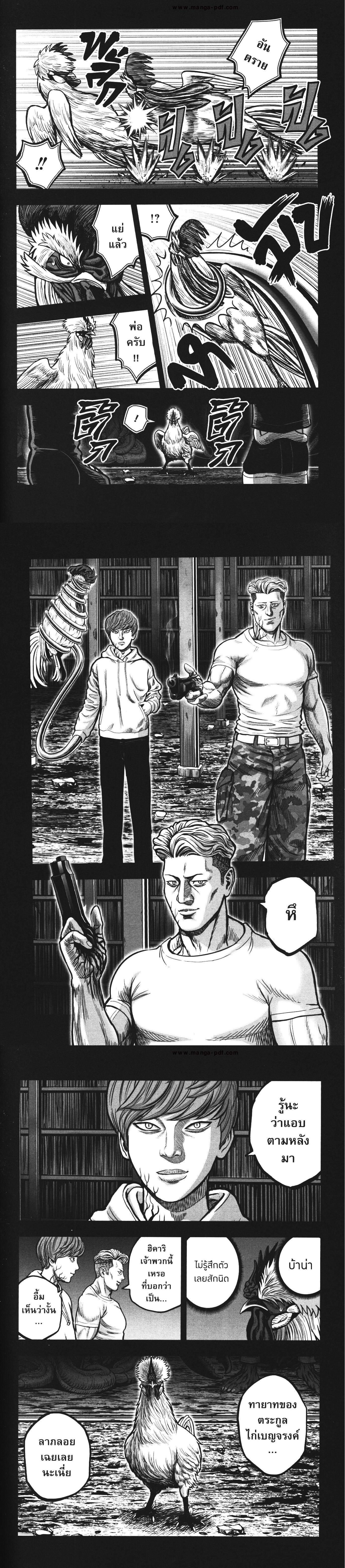 Manga-lc-com อ่านมังงะ อ่านการ์ตูน ออนไลน์ ฟรี Rooster Fighter ตอนที่ 1 2 3 4 5 6 7 8 9 10 11 12 13 14 ฟรี ไม่มีโฆษณา Manga-lc - อ่าน มังงะ อ่าน การ์ตูน ออนไลน์ อ่านมังงะ ฟรี