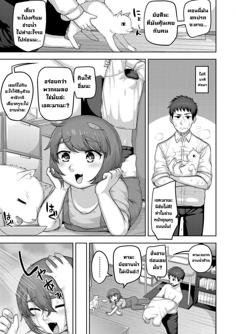 Doujin-Lc- อ่าน โดจิน มังฮวา เกาหลี ญี่ปุ่น จีน แปลไทย แมวของคุณครู [Akubinium] Nekoka no Cinderella The Pussycat Cinderella ตอนที่ 1 2 3 4 5 6 7 8 9 10 11 12 13 14 ฟรี ไม่มีโฆษณา อ่าน โดจิน Manhwa เกาหลี ญี่ปุ่น จีน เรามีครบ คัดมาให้เน้นๆ โดจิน 18+ รับประกันความฟินโดย  Doujin Lc