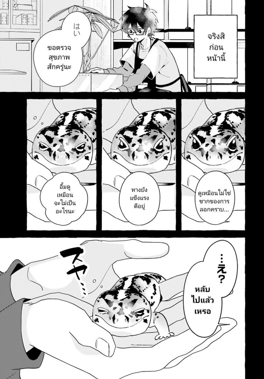 Manga-lc-com อ่านมังงะ อ่านการ์ตูน ออนไลน์ ฟรี Kimi wa Kawaii Reptile ตอนที่ 1 2 3 4 5 6 7 8 9 10 11 12 13 14 ฟรี ไม่มีโฆษณา Manga-lc - อ่าน มังงะ อ่าน การ์ตูน ออนไลน์ อ่านมังงะ ฟรี